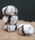 Biscuits craquelés "Crinckles"