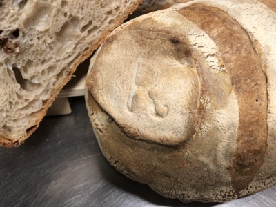 Pane alle noci con metodo poolish a lievitazione mista